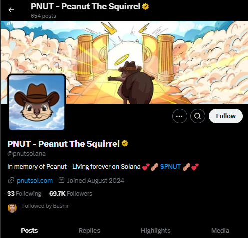 PNUT twitter handle page. 